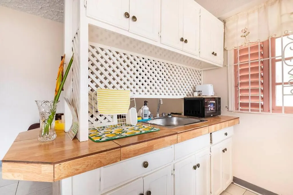 Shaw Park Gem Apt 12A Ocho Rios